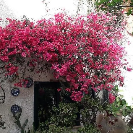 Apartment Holiday Cala Bianca *